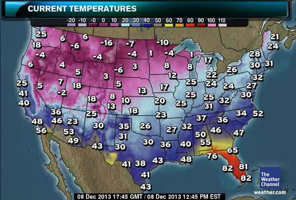 Meanwhile, in Florida... The Adventures of Accordion Guy in the 21st