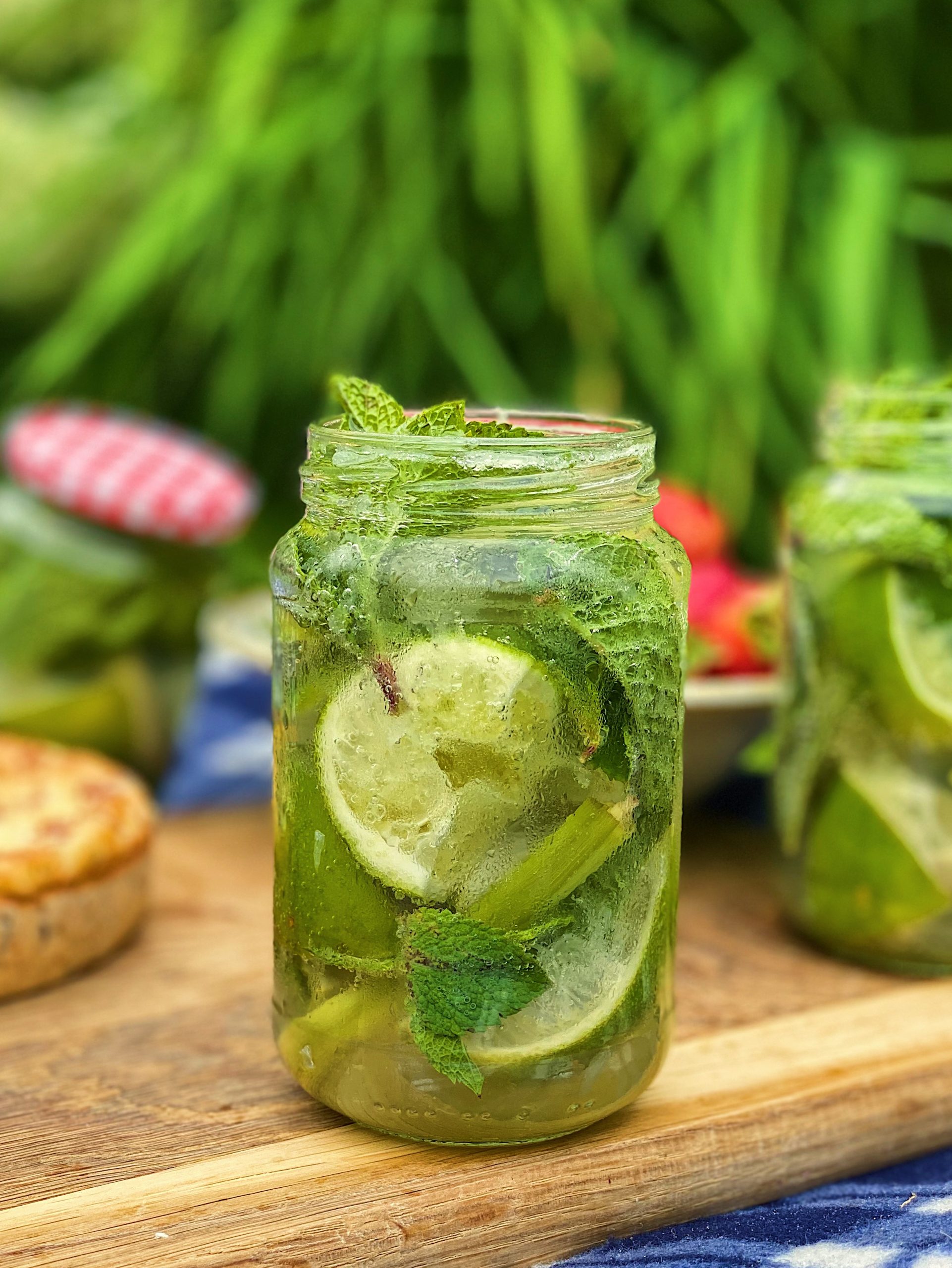 Lemongrass Mojito Cocktail Recipes John GregorySmith