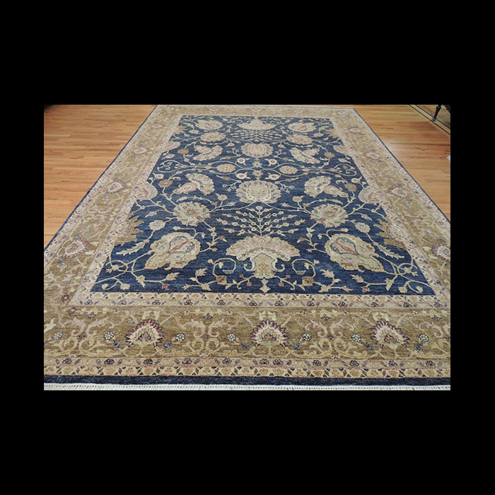 Beautiful Peshawar Transitional Oriental Area Rug 9 x 12 JKC232 The