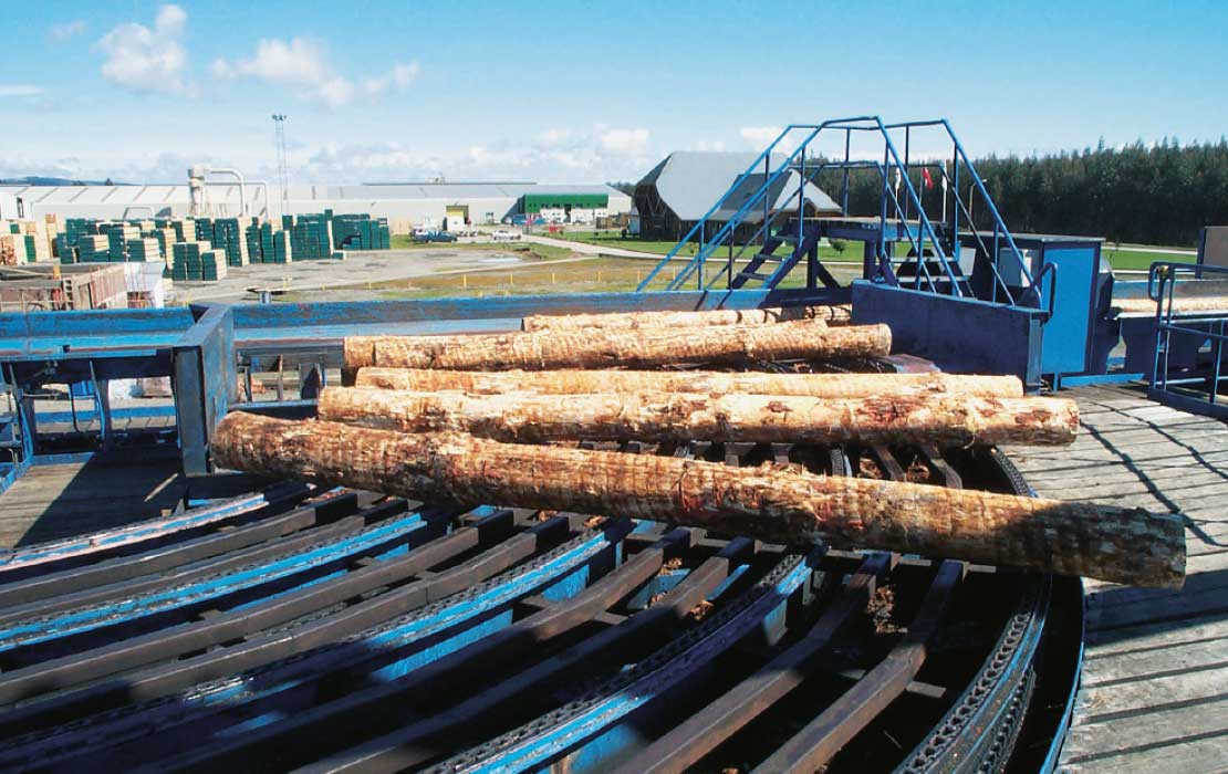 Timber Industry Chains John King Chains