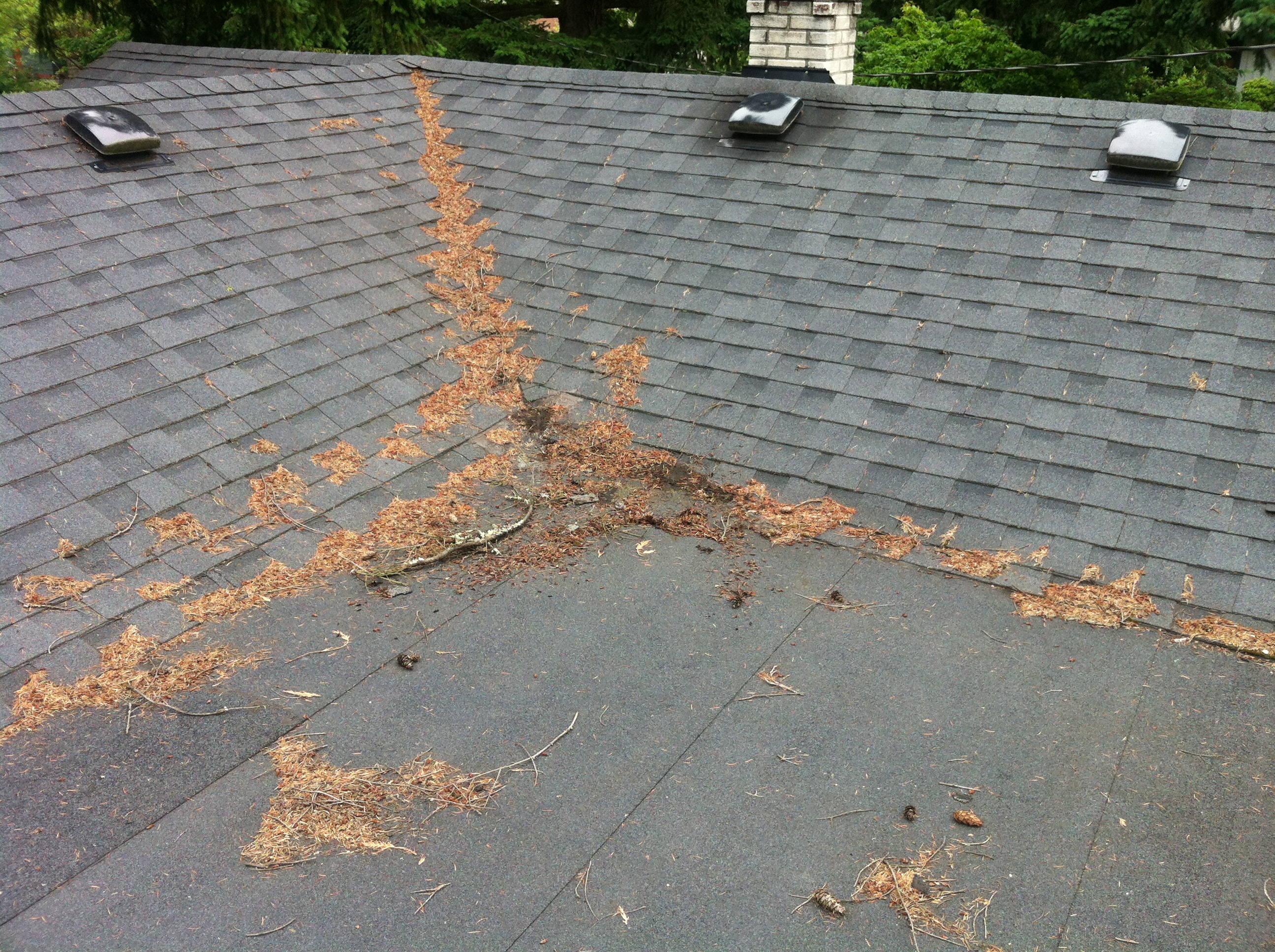 Torch Down Roof
