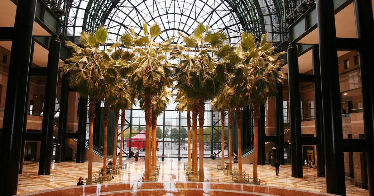 Brookfields Garden Centre Christmas Decorations GARDENZD