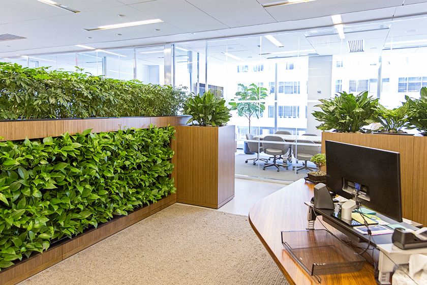 Discover Interior Living Walls Commercial Indoor Landscapers NYC