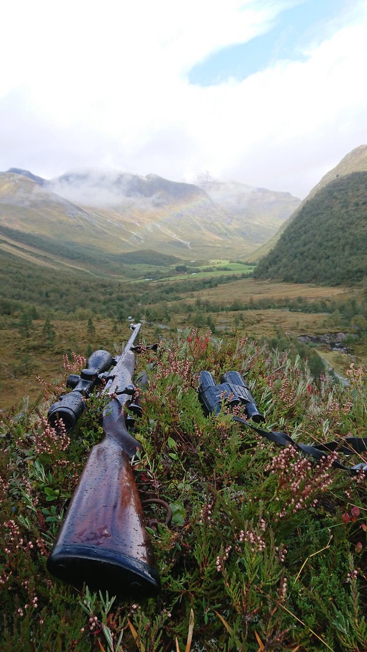 Hunting Norwegian red deer John Rigby & Co.