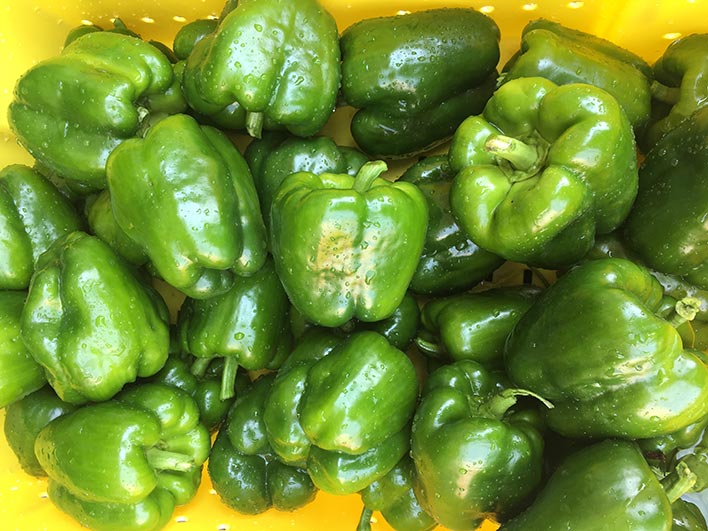 Farm Market in Swansea, MA Johnson's Roadside Farm Market; Seasonal