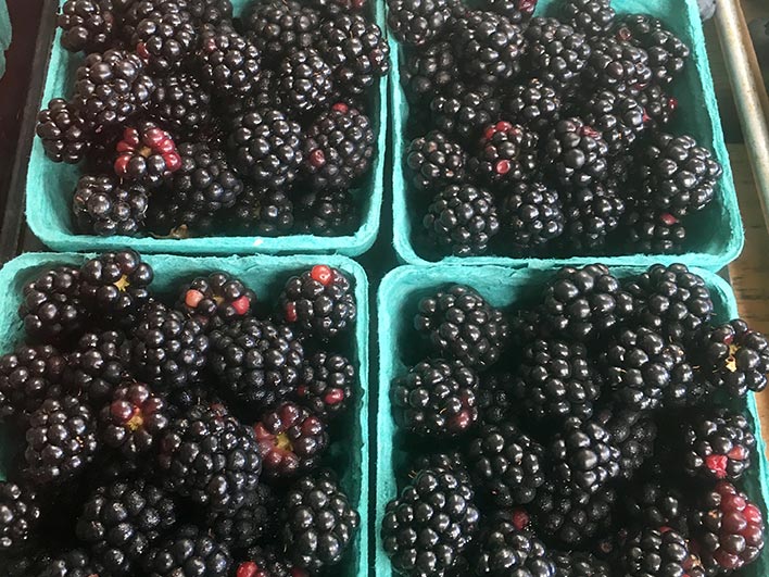 Farm Market in Swansea, MA Johnson's Roadside Farm Market; Seasonal