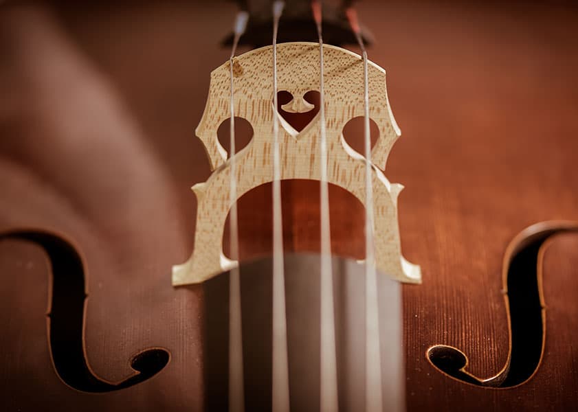 How Often Should You Replace Your Cello Strings? Johnson String
