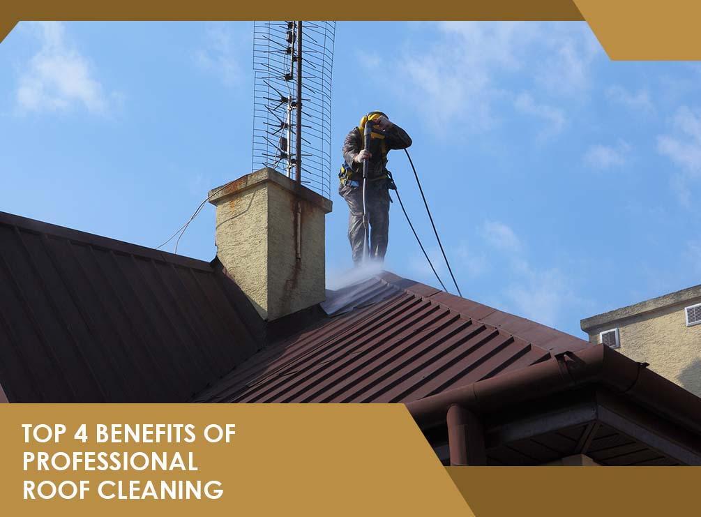 Top 4 Benefits of Professional Roof Cleaning