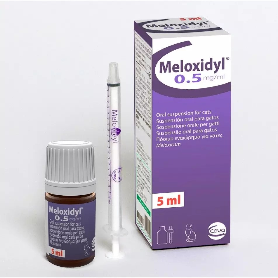 Meloxidyl® Oral Liquid for Dogs and Cats Joii Pet Shop