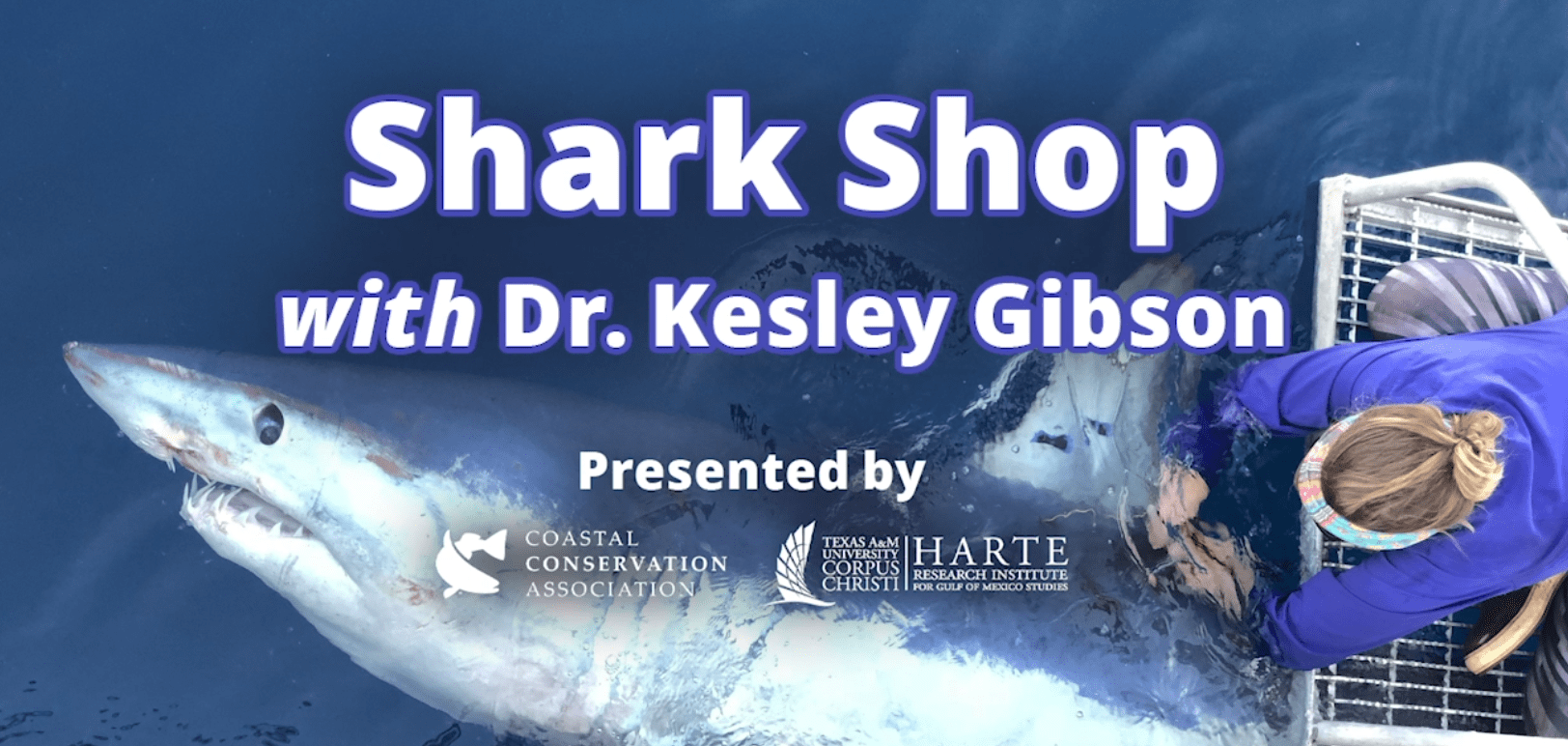 Shark Week! WATCH All Episodes of Shark Shop with Dr. Kesley Gibson