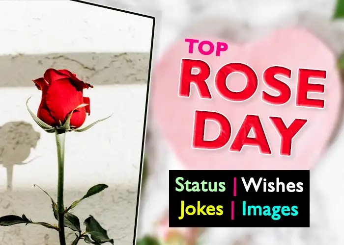 [TOP] 100 Rose Day Status in Hindi 7 February 2024 रोज डे JokeScoff