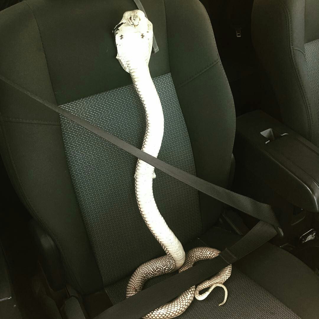 Funny Photo of the day for Wednesday, 29 March 2017 from site Jokes of