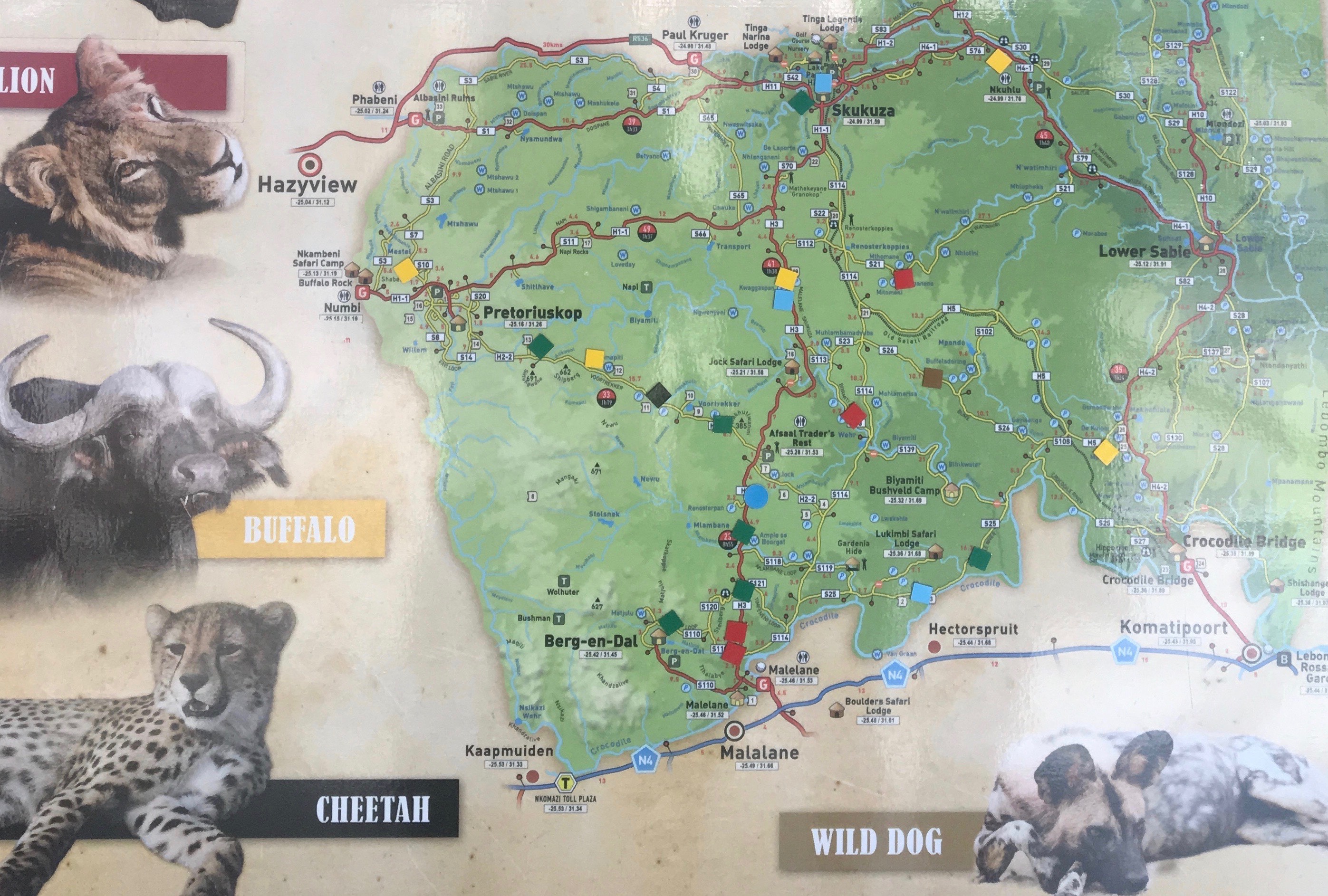 Les Défis De Voyager Au Parc Kruger Afrique du sud parc kruger Jolis Circuits