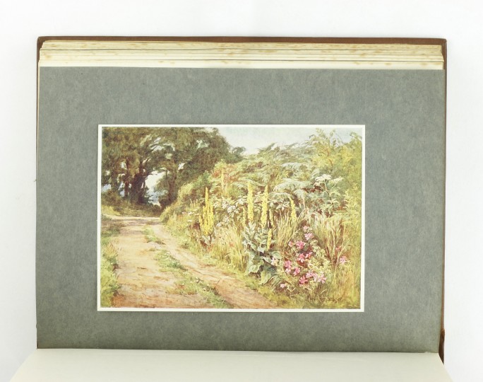 Highways and Hedges by BENGER, Berenger Jonkers Rare Books