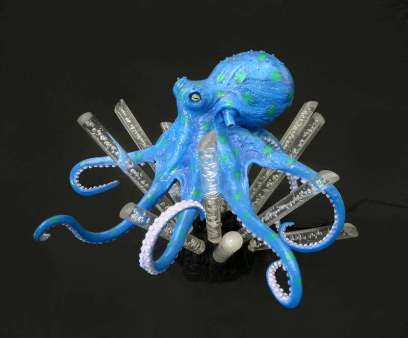 blueoctopus