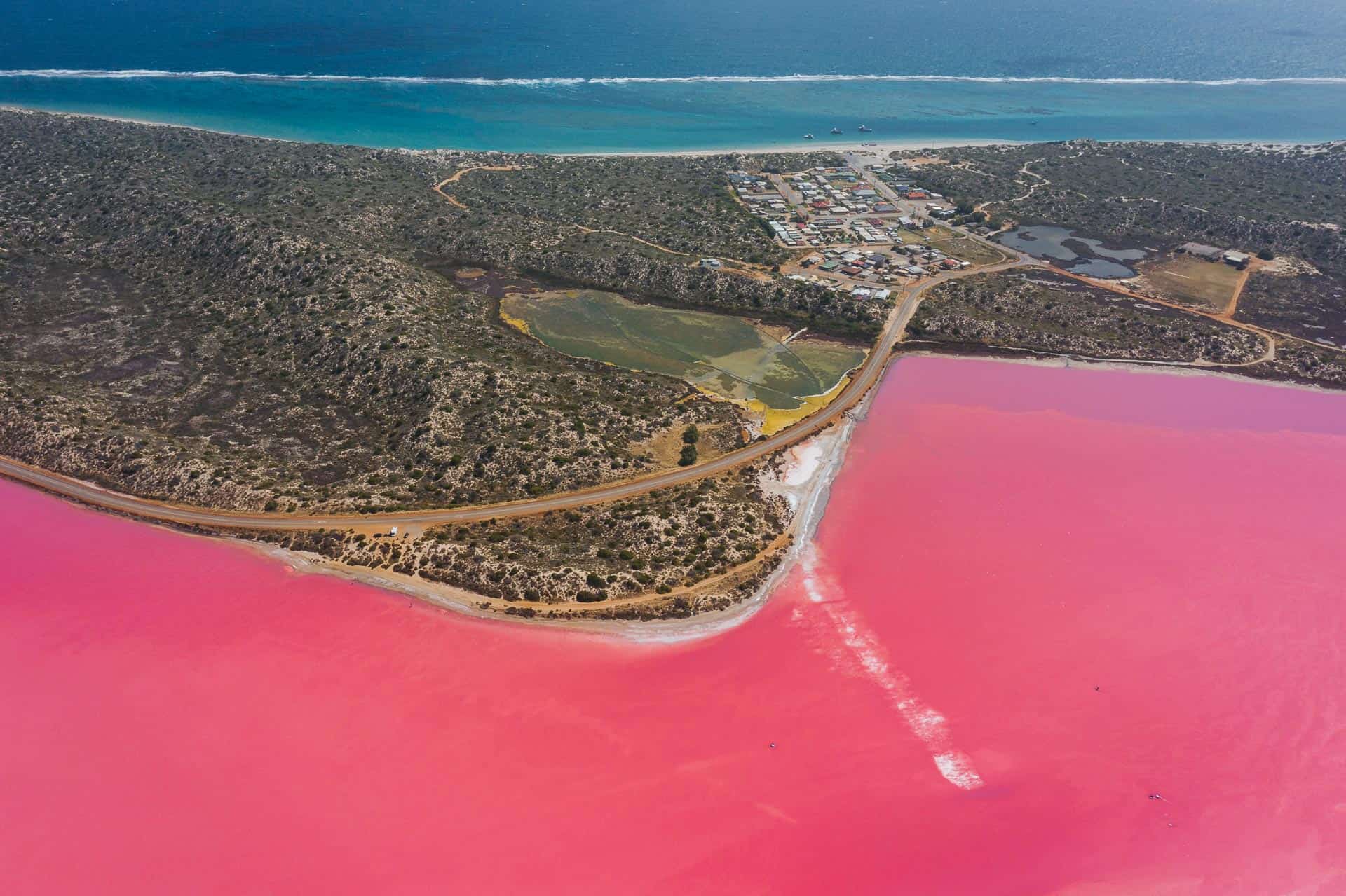 Pink Lake Western Australia Visitor's Guide (2024)