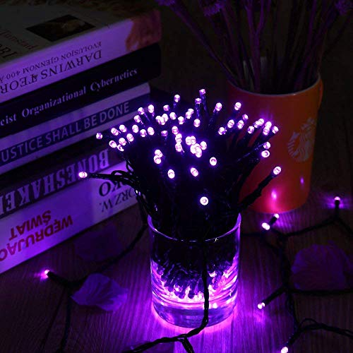 Halloween lights, Halloween Decorations,Halloween String lights,purple