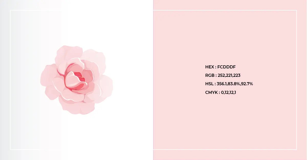 Rose Color Code Discover the Meaning Behind Rose Colors