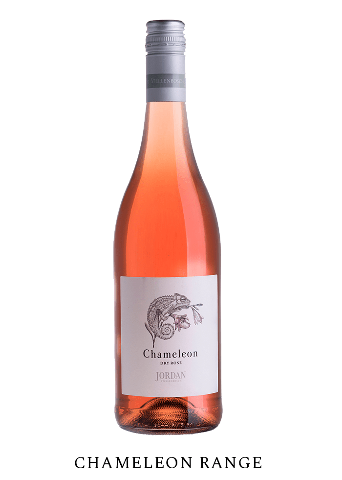 Home Jordan Wines Stellenbosch