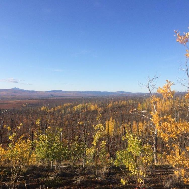 Property Rental, Rental Information, Real Estate Info Tok, AK