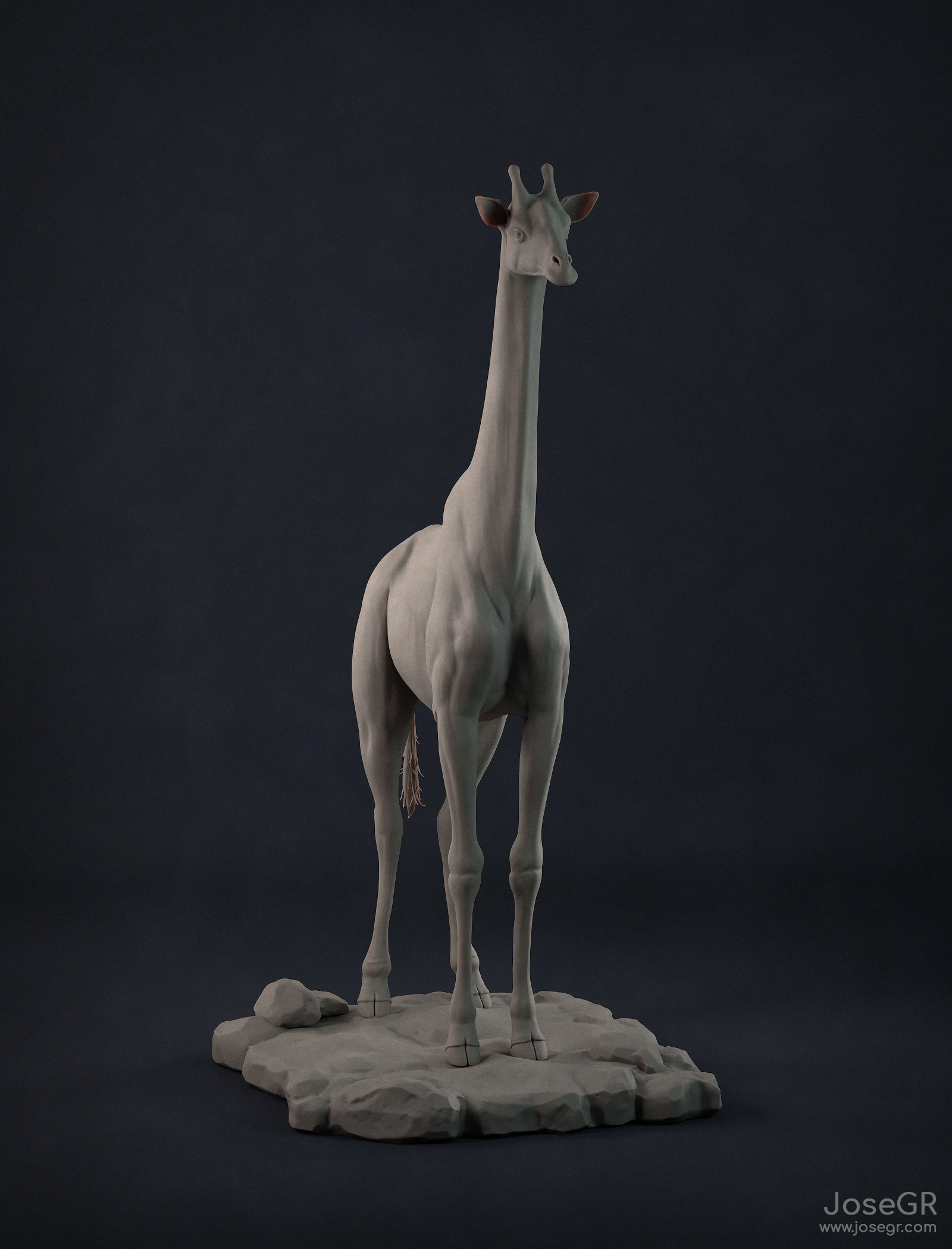 Giraffe Anatomy study JoseGR