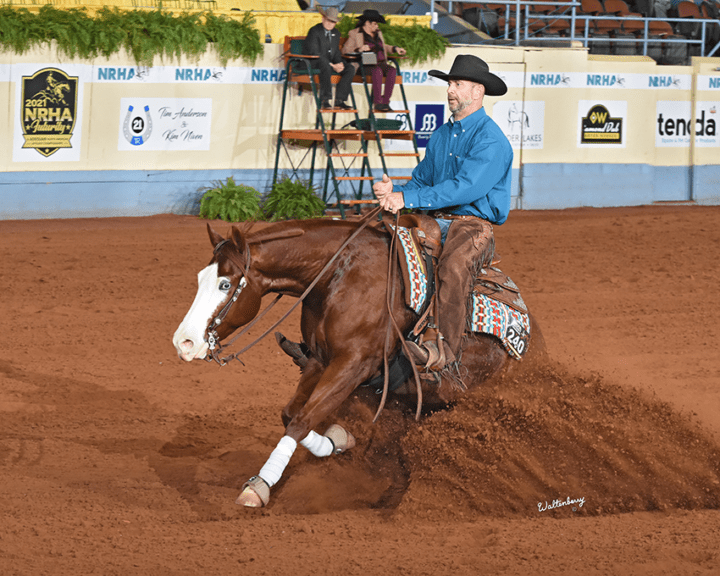 Accreditation Program Horse Training School