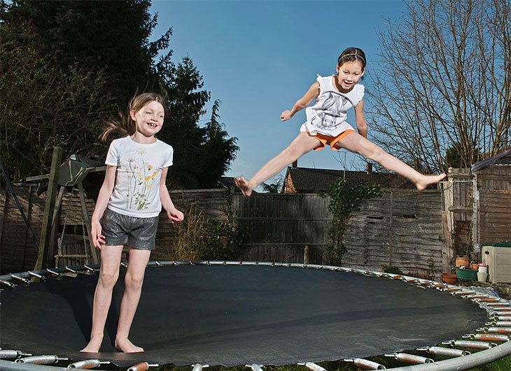 Joshua Tree Blog the blog about gardening and outdoors