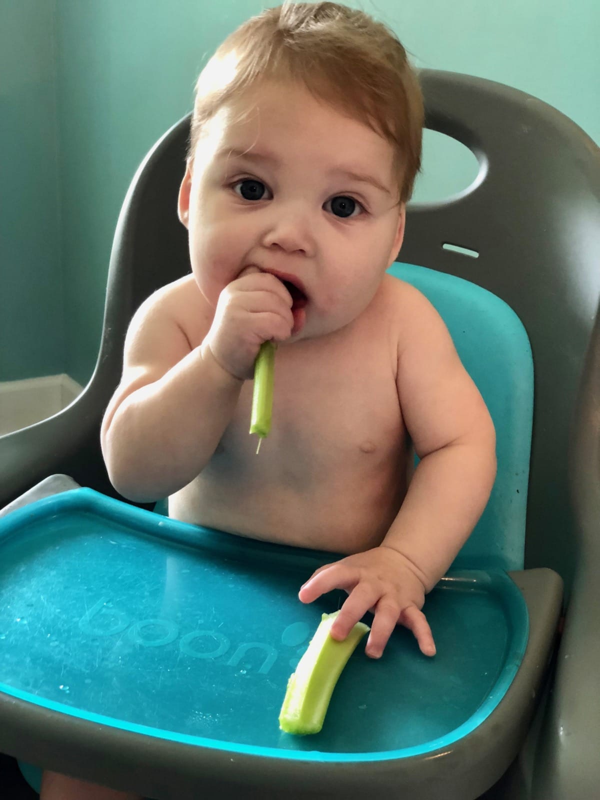 Baby Led Weaning and Choking VS Gagging What to Know