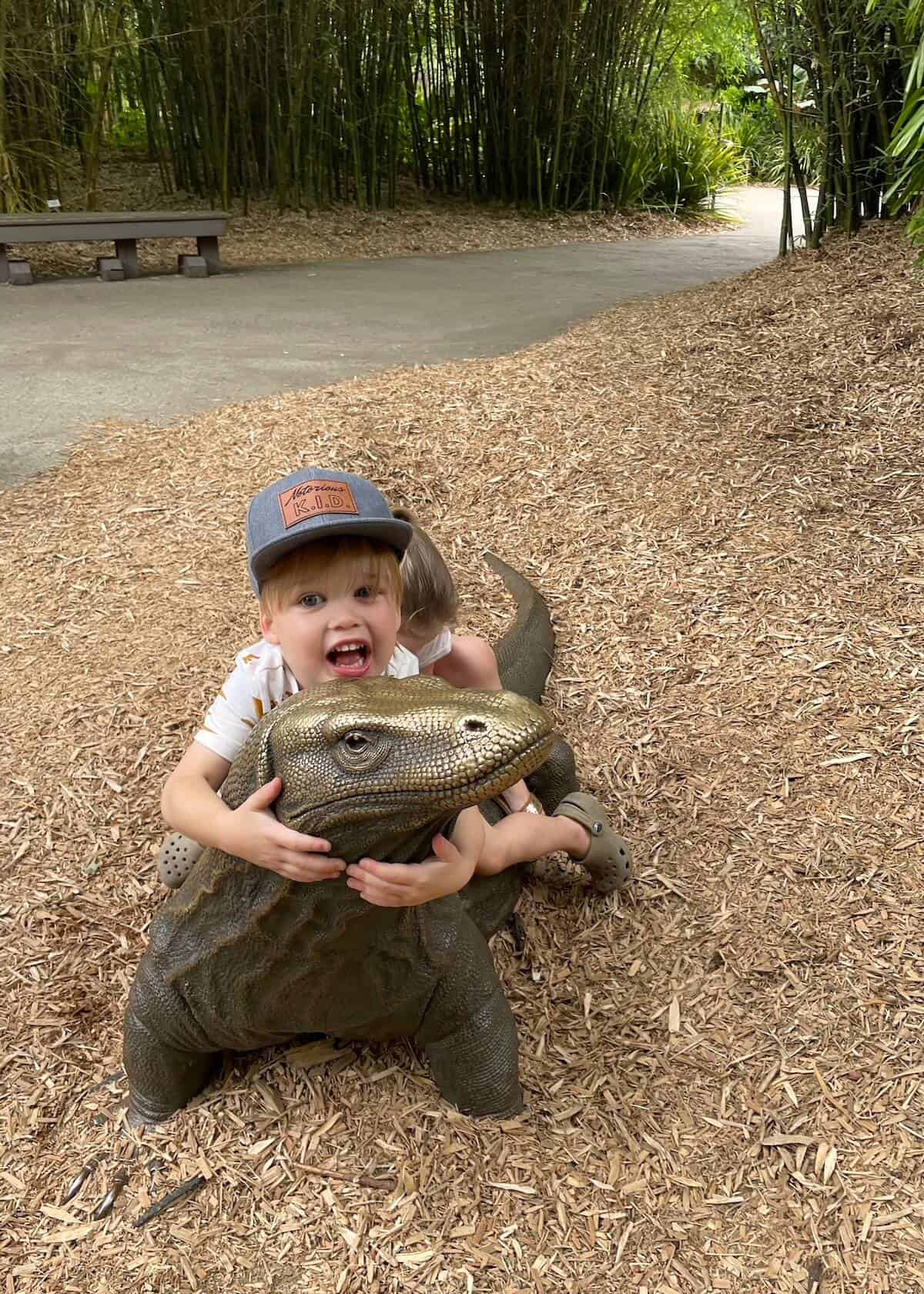 Tips for Visiting Jacksonville Zoo Jacksonville Zoo Planning Guide