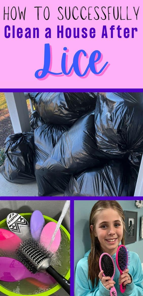 How to Clean House After Lice House Stopper