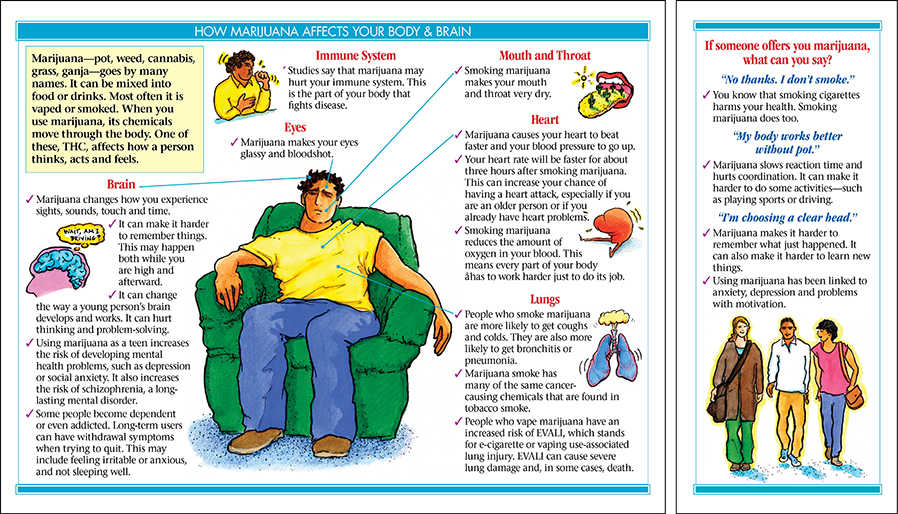 How Marijuana Affects Your Body &