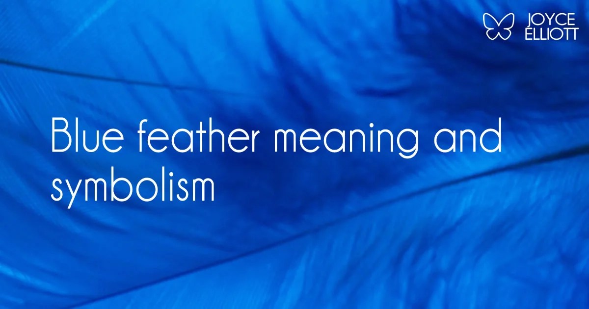Blue Feather Meaning & Symbolism Freedom, Transcendence, And
