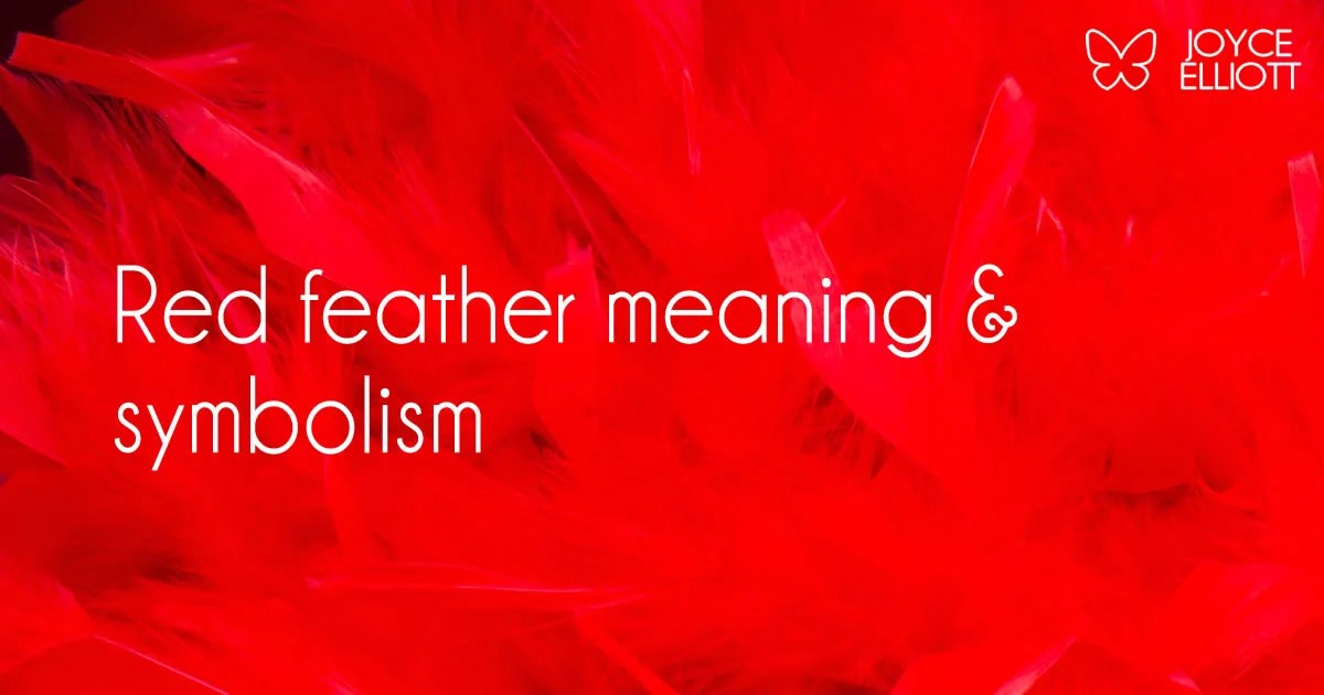 Red Feather Meaning & Symbolism 7 Powerful Messages Discovered Joyce