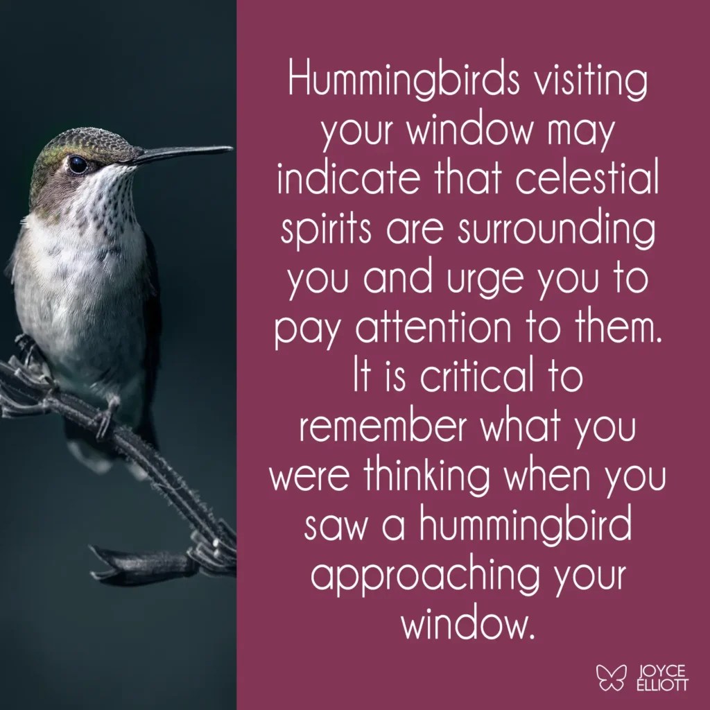 What Does it Mean When a Hummingbird Visits You? 7 Clear Meanings