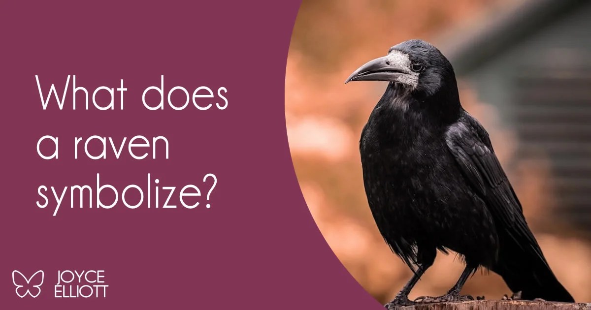 What Does a Raven Symbolize? 7 Symbolism of Death and Rebirth. Joyce