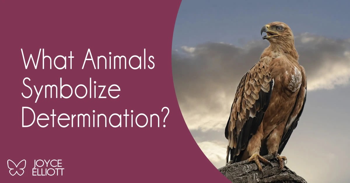 What Animals Symbolize Determination? 17 Amazing Creatures That Endure