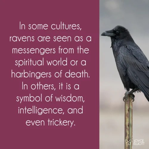 What Does a Raven Symbolize? 7 Symbolism of Death and Rebirth. Joyce