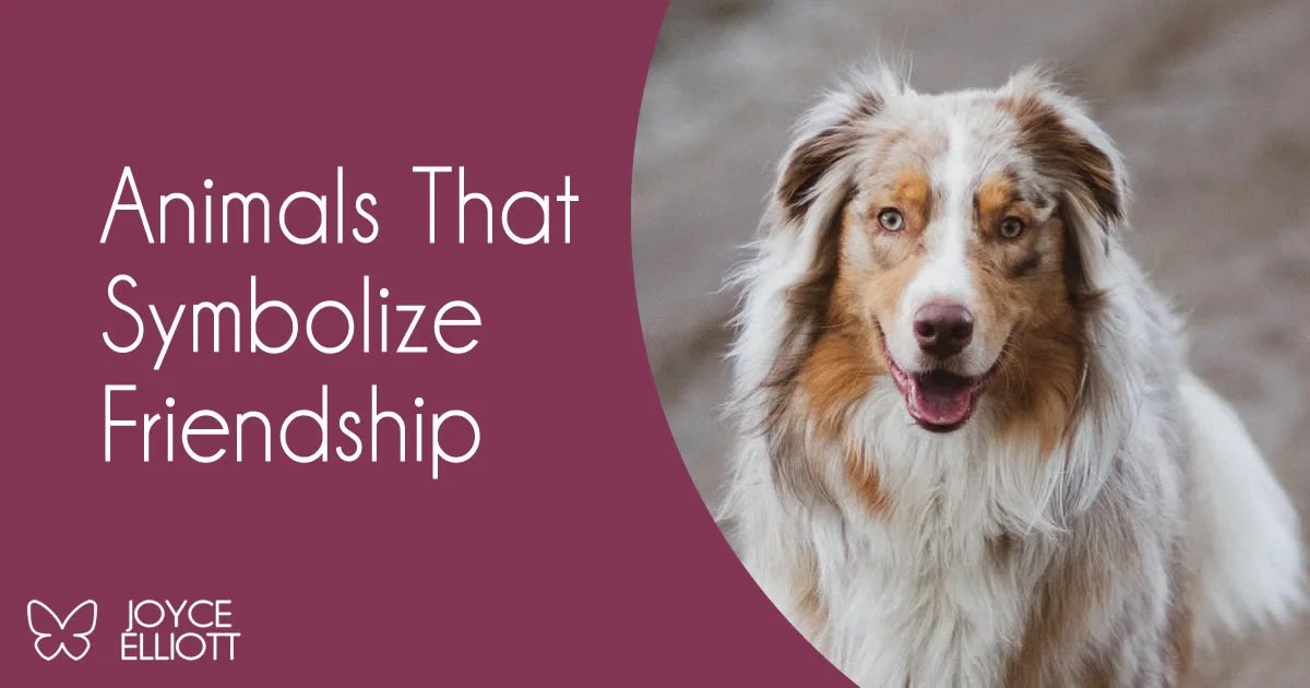 17 Animals That Symbolize Friendship Remarkable Lessons To Learn From