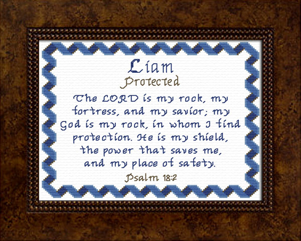 Liam 2 Name Blessings Personalized Names with Meanings and Bible Verses