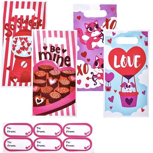 Amazing 48Pcs Valentines Day Treat Bags Set