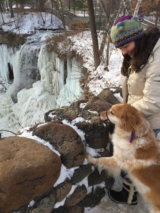 Joy of Pets Professional InHome Pet Sitting In Minneapolis