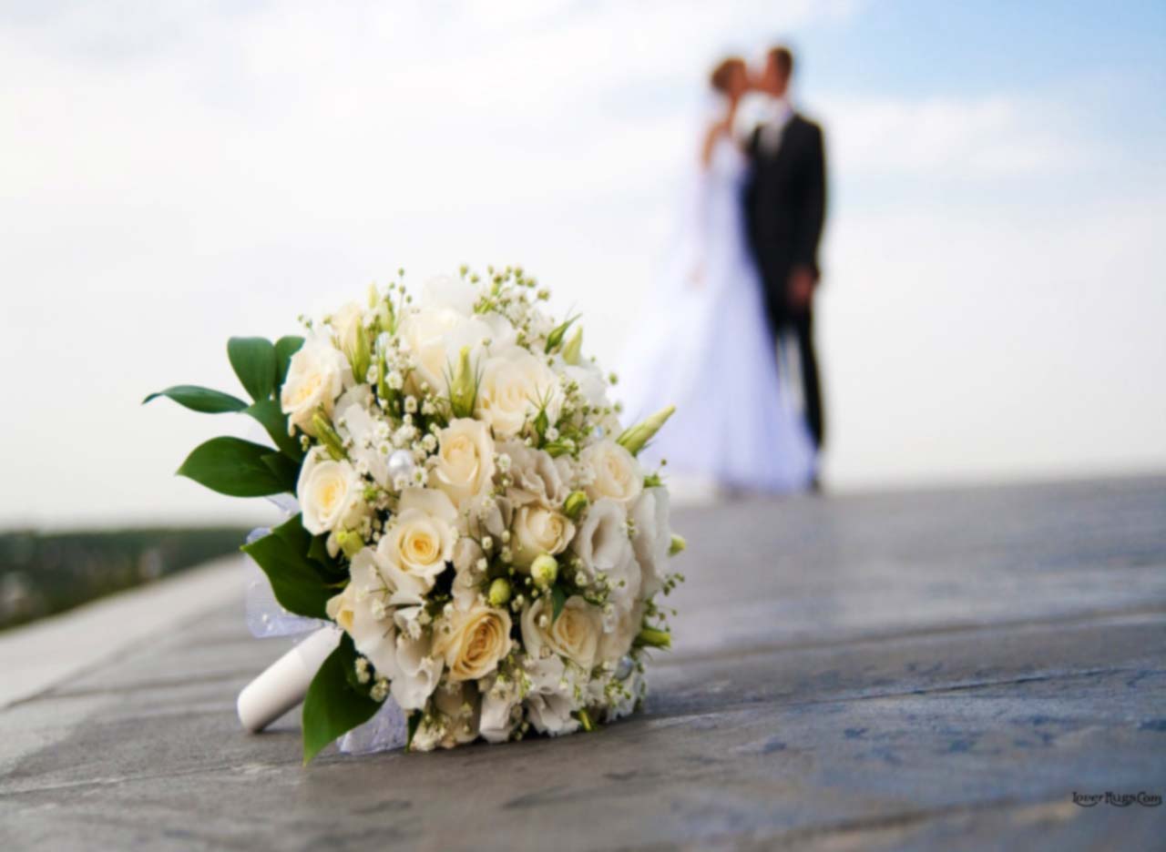 Wedding Planner Find here Everything Cheap for your Wedding.