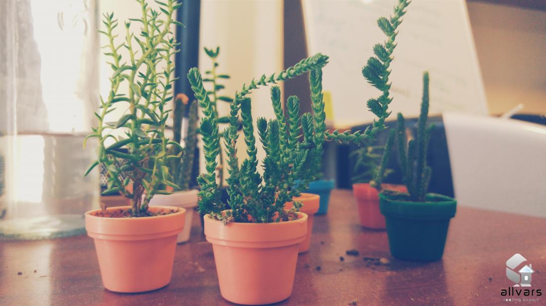 jQuery Image Grid Plugin Demo