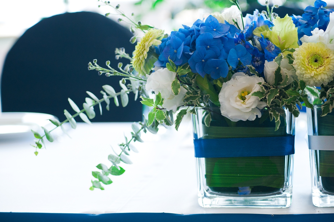 jQuery Scroll Slider Plugin Demo