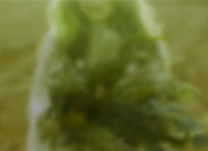 Smooth Data Filter Animation In jQuery filterData.js Free jQuery