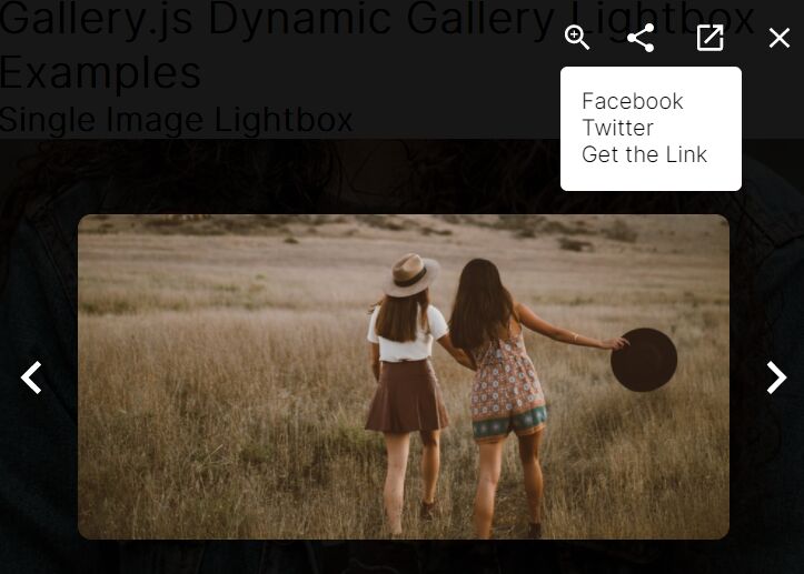 Responsive Image & Youtube Video Lightbox Plugin jQuery ALightBox
