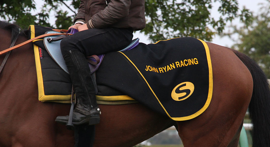 Racehorse training facilities Newmarket racehorse trainer UK