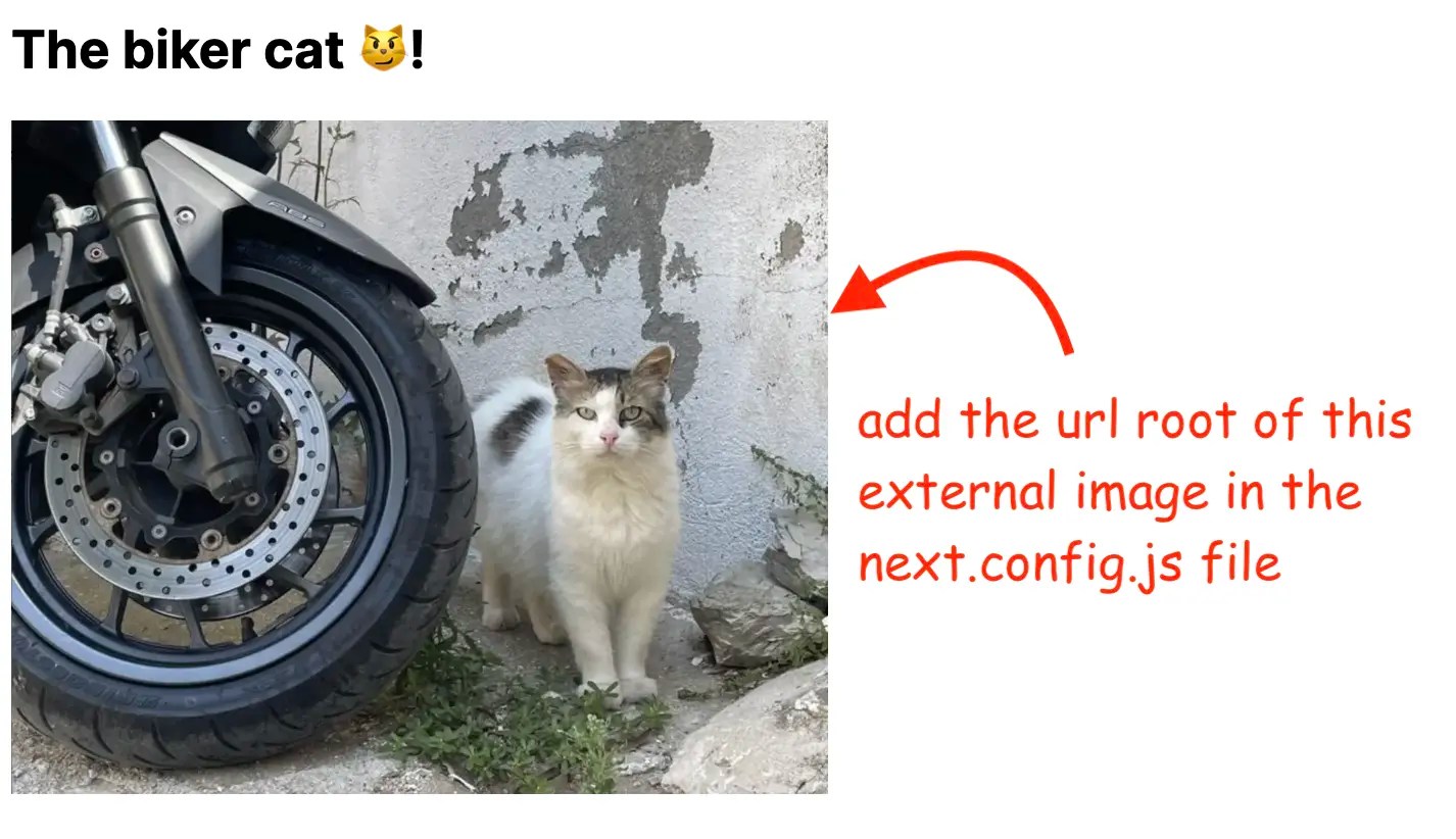 Fixing the NextJs Error Invalid src prop on `next/image`, hostname is