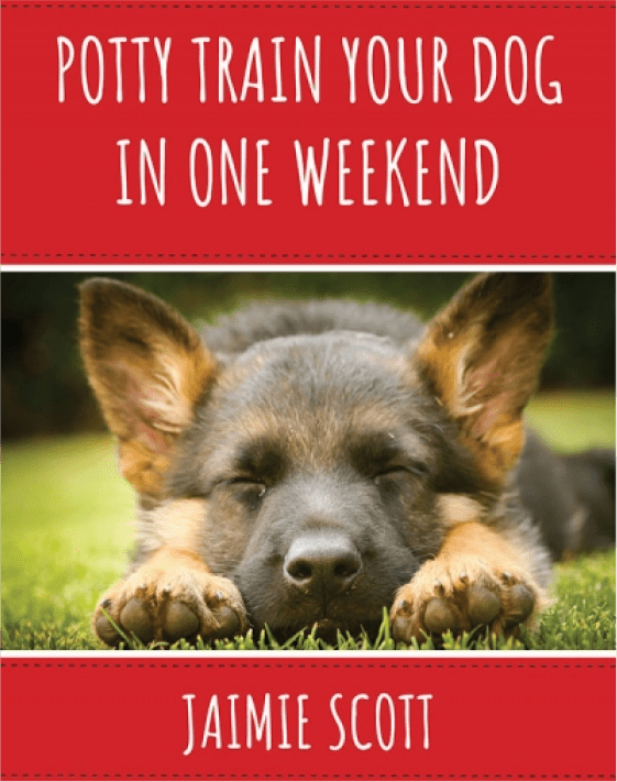 How To Train Potty Train Your Dog