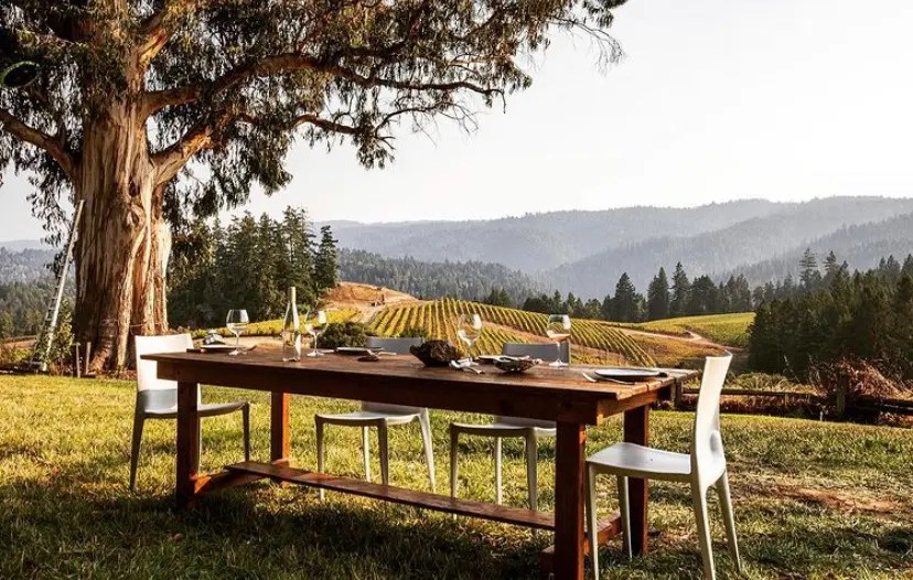 The Most Spectacular California Vineyards I've Visited